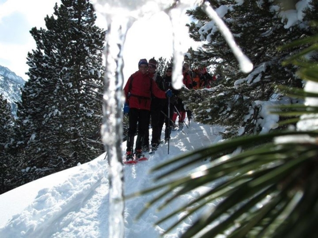 Excursiones en raquetas de nieve